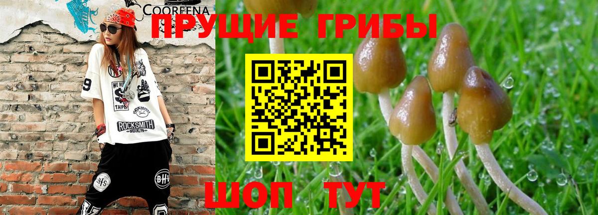 Псилоцибиновые грибы ЛСД Свободный