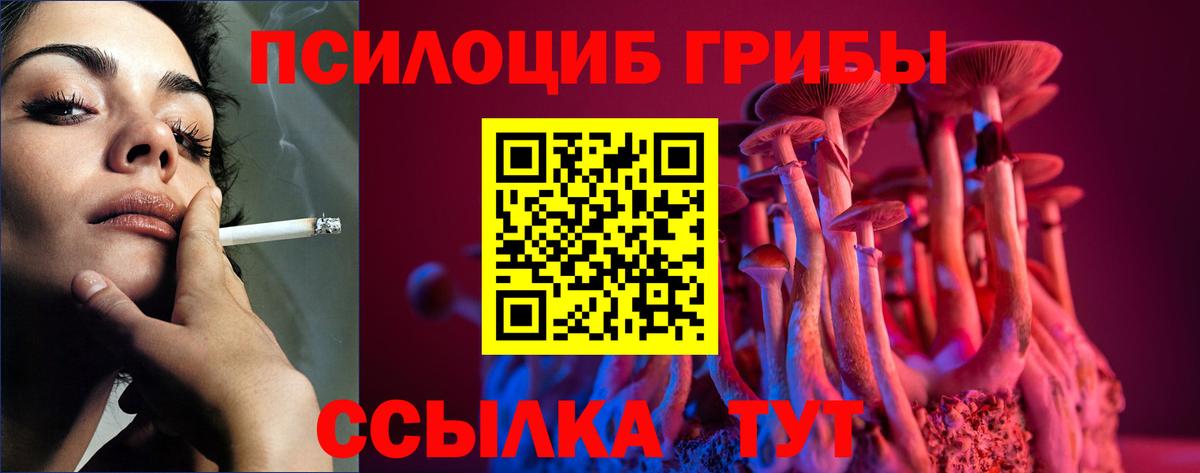 Галлюциногенные грибы ЛСД  Вход с VPN  Галлюциногенные грибы мицелий  что такое   Свободный 